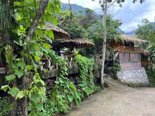Homestay Tả Mẩy - 전망