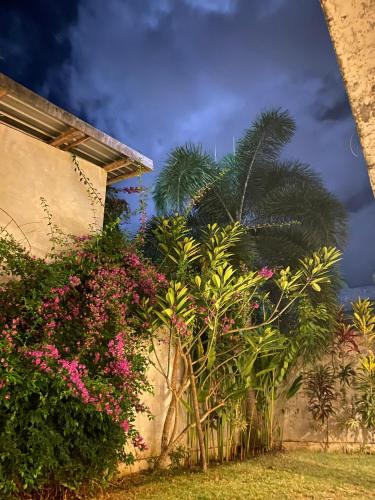 Palm Green Hotel – Kuta, Lombok, ID