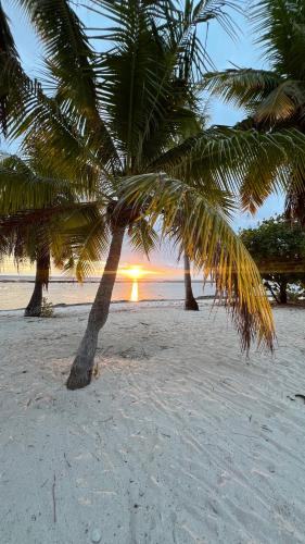 Beach, Remoni Sunset in Tikehau Atoll