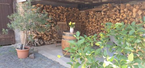 Gästehaus Ringhof (Gastehaus Ringhof) in Florsheim-Dalsheim