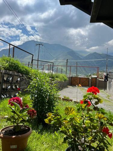 Guesthouse Relax in Kazbegi Guesthouse Relax in Kazbegi