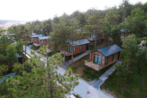 Nefes Dağyenice Doğada, Bursa