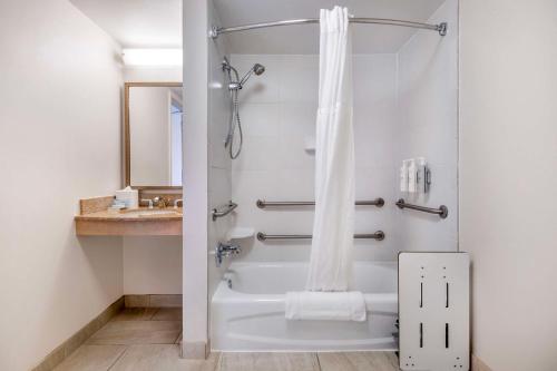 Hilton Garden Inn Lexington - image 6