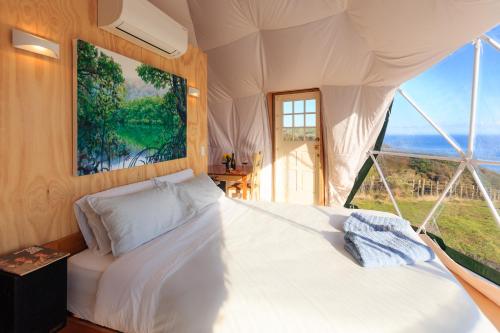 Escarpment Domes in เปคาคาริกิ