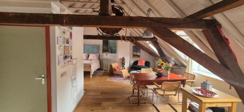 Luxe appartement in het oude centrum in Zutphen