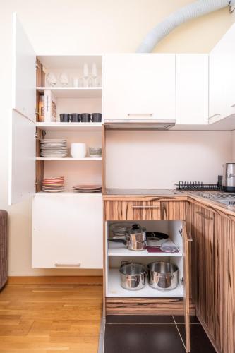 Spacious apartment in a park zone with the private terrace, Riga (photo 10)