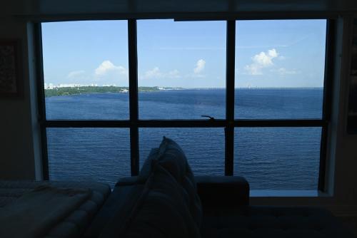 Tropical Executive Flat Suite 817 with View in Riverfront