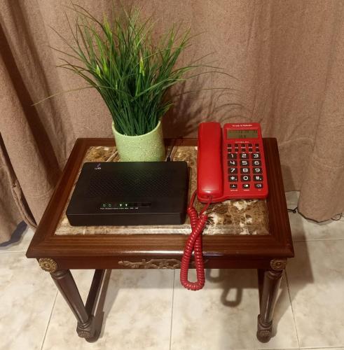 Lovely & Calm Rooftop in Maadi 5 min from the Nile