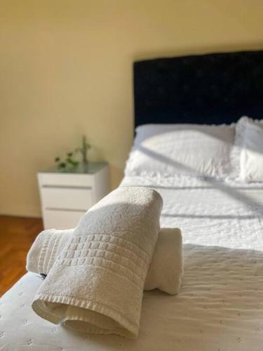 A room in São Paulo