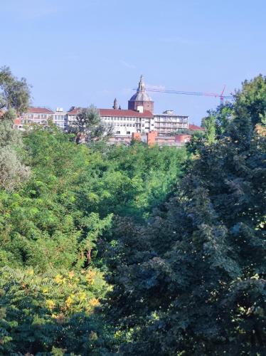 Golgi Archimede Casa, Pavia