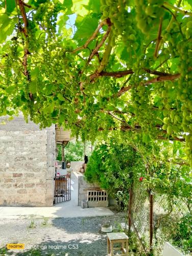 Armen bed and breakfast in Halidzor