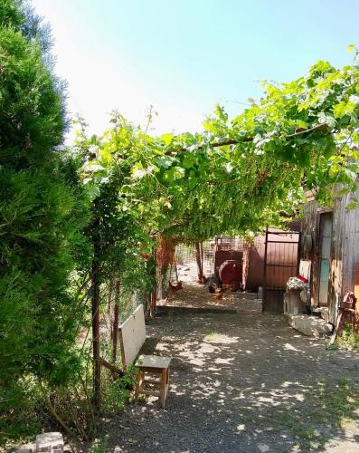 Armen bed and breakfast in Halidzor