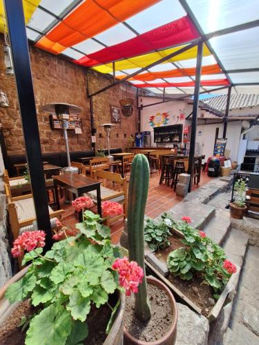 Sadržaji, Intro Hostels Cusco in Cusco