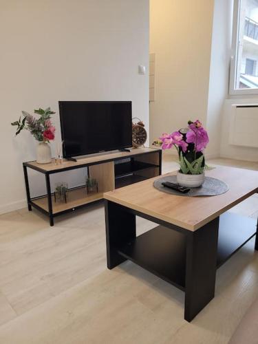 Studio proche centre-ville in Scionzier