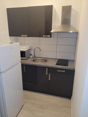 Studio proche centre-ville in Scionzier
