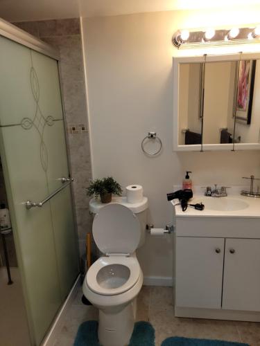 charming 3 bedrooms, 2 full baths, vacation home in Niagara Falls, USA