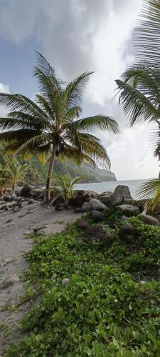 Kaz à joss (Kaz a joss) in Basse-Pointe