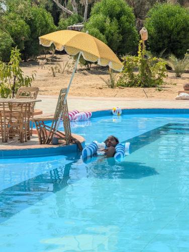Cafour House Siwa - Hot Spring