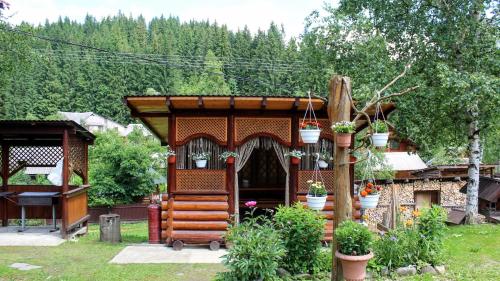 Апартаменти з гарним краєвидом, Yablunytsya