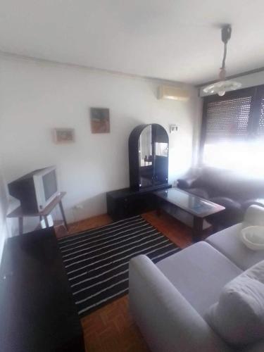 Közös társalgó / TV, Apartman Lasta in Savica
