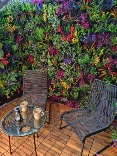 My Secret Garden rooms - Apartment with 2 private rooms, separate baths and balcony garden 3