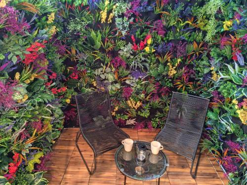 My Secret Garden rooms - Apartment with 2 private rooms, separate baths and balcony garden 4