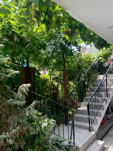 Apartment Jancic - image 10