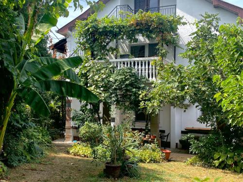 Apartment Jancic - image 4