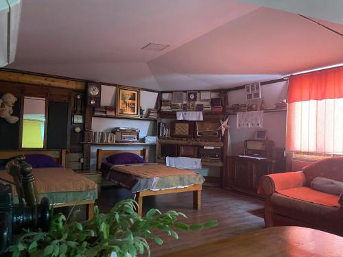 1 king bed, 3 sofa beds
