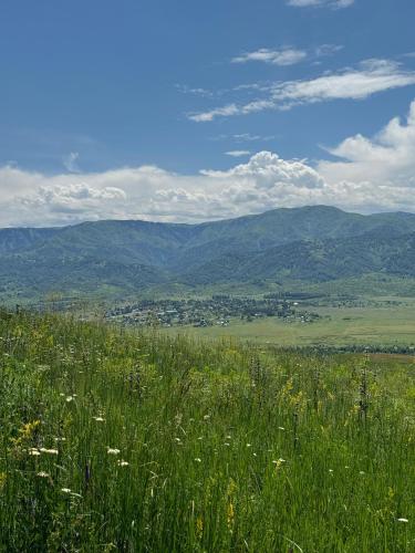 ЛепсинскПРО, Lepsi (photo 8)