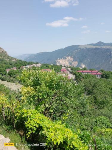Armen bed and breakfast in Halidzor