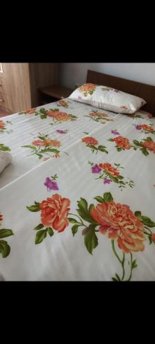 Pavlović (Pavlovic) in Bijakovici