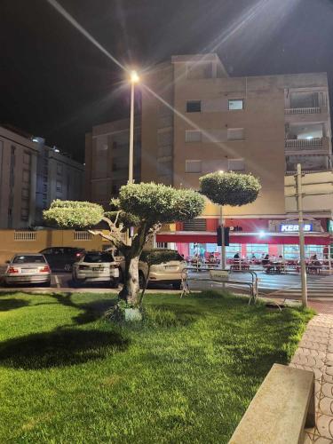 Perla del mar Perla del mar