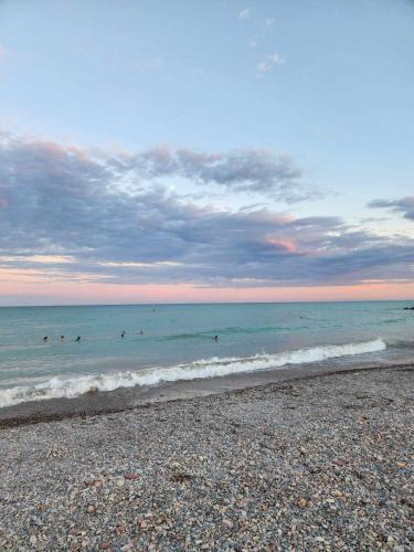 Perla del mar Perla del mar