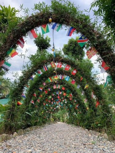 Wisma Batu Mandi and Jungle trekking, Bukit Lawang