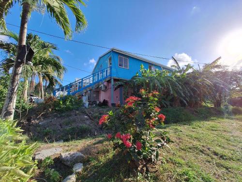 Viesnīcas āriene, Posada Bella Vista Bush Bottom in Providencia