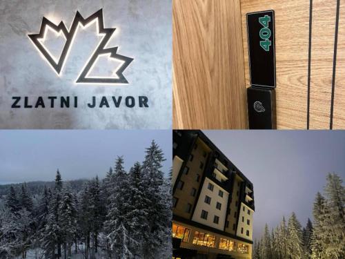 Apartman 404 Zlatni javor