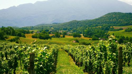 Domaine Carrel & Senger in Jongieux