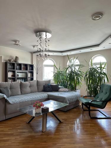 Lovely Apartments Free STREET Parking