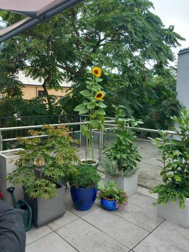 Apartmán v centru Prahy, Praha (fotografie 9)