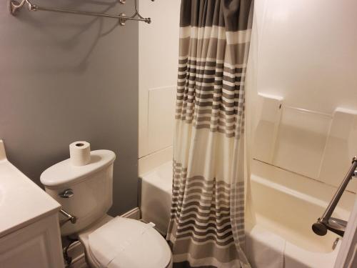 Sand Dunes and Ocean Dunes Resorts - image 2