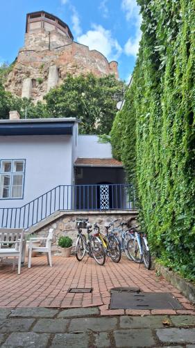 Ister Guesthouse - image 12