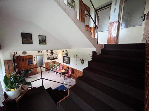 บริการและสิ่งอำนวยความสะดวก, Dům Skala (Dum Skala) in ฮอตกา