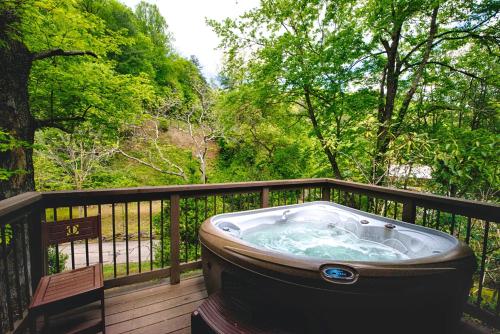 Historic Tapoco Lodge Resort - 주변 환경