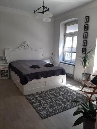 Charmantes, helles City-Apartment - nahe Hafen, Schloss & Altstadt in Schwerin, Deutschland
