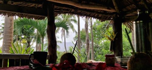 Tanna Lava View Bungalows in Isaka