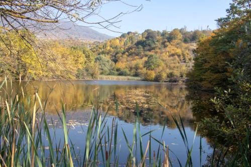 Alrededores, Lakeside Garden - Ismayilli Guest house in Ismailli