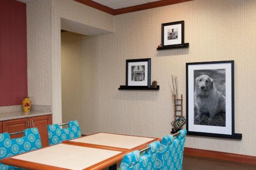 Hampton Inn Jacksonville - image 6