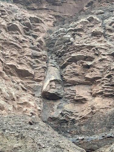 Tiffinys Tidal Retreat in Hopewell Cape (NB)