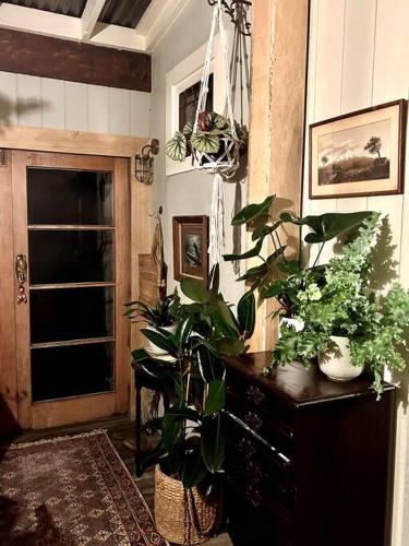 Oakura Pond Cottage - A unique kiwi holiday Bach in Oakura